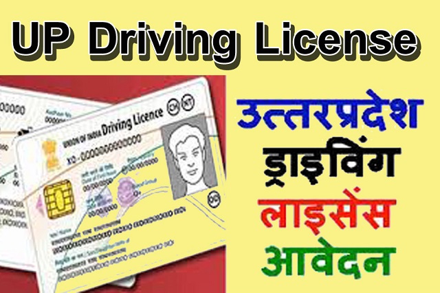 UP Learning License